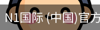 N1国际